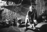 picasso_disegni_luce